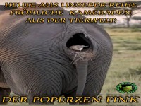 Frhliche Kameraden aus der Tierwelt