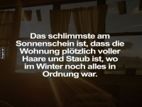 Sonnenschein bringt Staub und Haare ans Licht