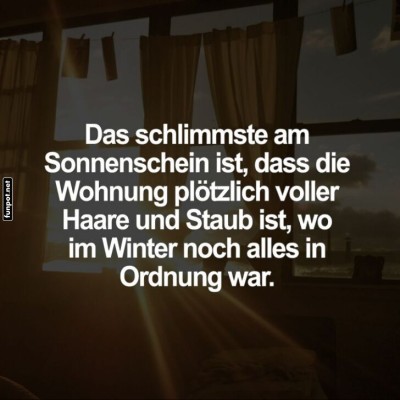 Sonnenschein-bringt-Staub-und-Haare-ans-Licht.jpg von Lotusbluete