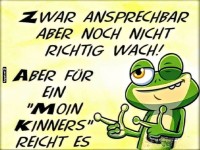 Frhlicher Morgengru vom mden Frosch