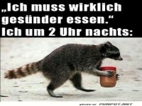 Mitternachtssnack-Mission: unm�glich!