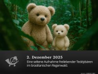 Pl�schige Erkundungstour im Regenwald