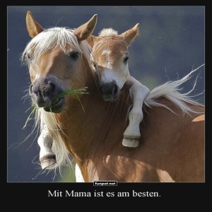 Pony-Express:-Kuschelabenteuer-mit-Mama.jpg von Lucie37