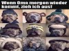 weiter