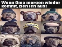 Hundemode: Oma bringt's auf die Spitze!