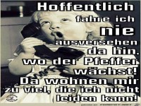 Hoffentlich fahr ich nie