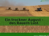 Bauernregel 2. Augustwoche