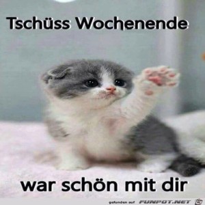 Begrüßungsbild
