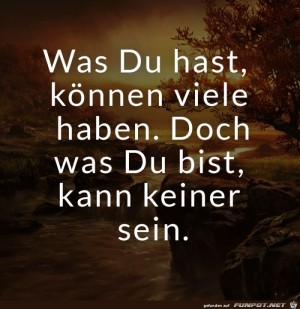 Was-du-bist-kann-keiner-sein.jpg auf www.funpot.net