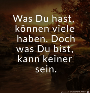 Was-du-bist-kann-keiner-sein.png auf www.funpot.net
