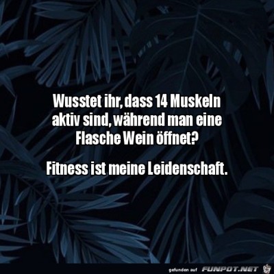Weinflasche-&ouml;ffnen-ist-Sport.jpg von Rubia