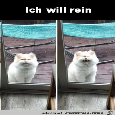 Lasst-mich-rein.jpg von Matteo
