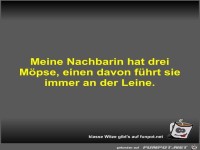 Meine Nachbarin hat drei M�pse