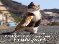 Erst mal Fr�hsport
