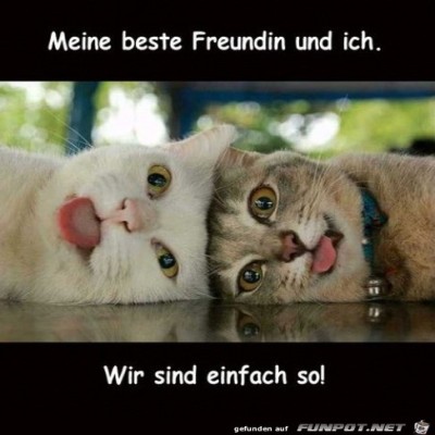 Freundinnen.jpg von Pina