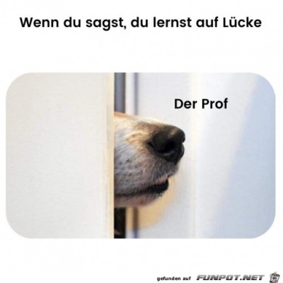 Der-Prof-riecht-das.jpg von Peer