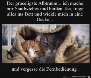 Sowas-Blödes.jpg auf www.funpot.net