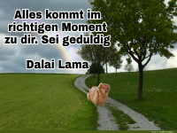 Alles kommt im richtigen Moment
