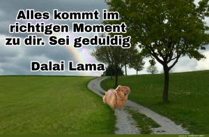 Alles-kommt-im-richtigen-Moment.png auf www.funpot.net