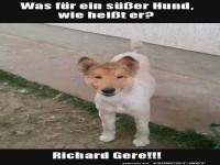 Lustiges Hundememe mit unerwartetem Namen