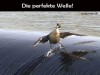 weiter