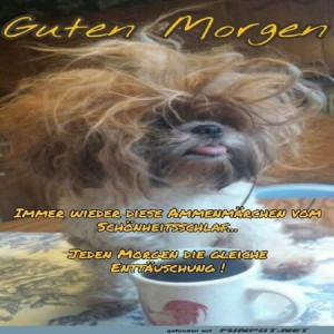 Begrüßungsbild