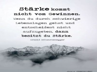 Starke Sprche und Nebelschwaden