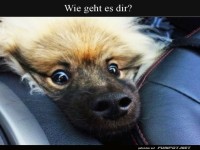 Wenn der Montag zuschl�gt!