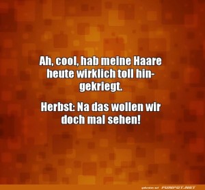 fun-Bild: Herbstfrisuren im Windtest