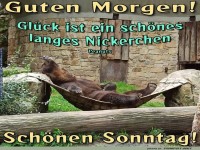 Brenstarkes Sonntags-Nickerchen