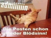 Ein Kater ruft nach dem Admin!