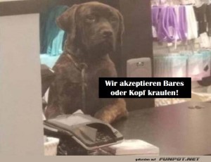 fun-Bild: Das ist nett