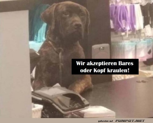 Das-ist-nett.jpg auf www.funpot.net