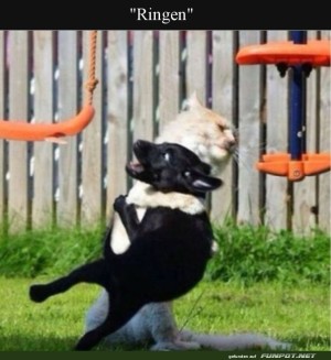 Swinging-into-Wrestling.jpg auf www.funpot.net