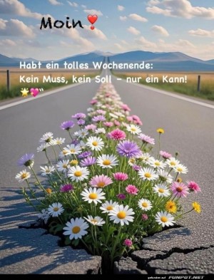 Bl�mchen-Weg:-Von-Asphalt-zu-Poesie!.jpg auf www.funpot.net