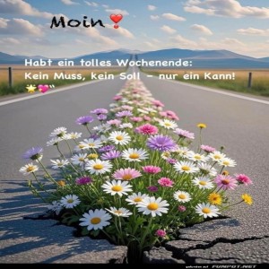 herz-Bild: Bl&uuml;mchen-Weg: Von Asphalt zu Poesie!