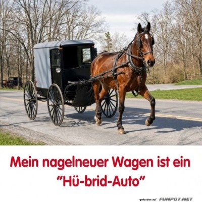Mein-umweltfreundliches-'H&uuml;-brid'-Fahrzeug!.jpg von Tobias-1995