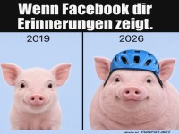 Zeitreise mit Schweinehelm
