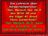 Koerpertemperatur