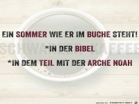 Ein Sommer wie er im Buche steht