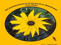 Der sicherste Reichtum