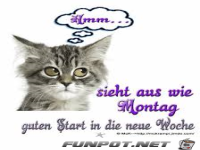 Sieht aus wie Montag