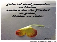 liebe ist nicht