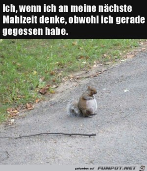 Ich-denke-über-meine-nächste-Mahlzeit-nach.jpg auf www.funpot.net