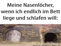 Meine Nasenl�cher