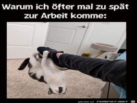 Das ist eine Begr�ndung