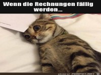 Die Rechnungen sind f�llig