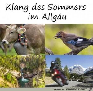 Allgu-Klnge.jpg auf www.funpot.net