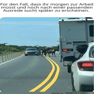 Gute-Ausrede.jpg von Sena