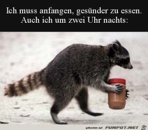 Gesnder-essen.jpg auf www.funpot.net